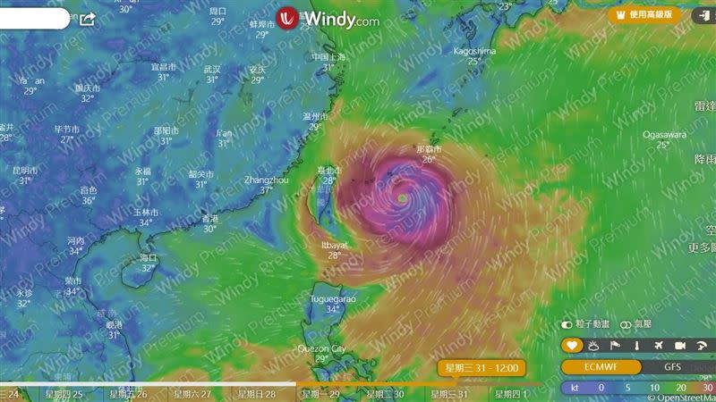 根據最新風場圖顯示，瑪娃颱風31日在台灣東邊。（圖／翻攝自windy）