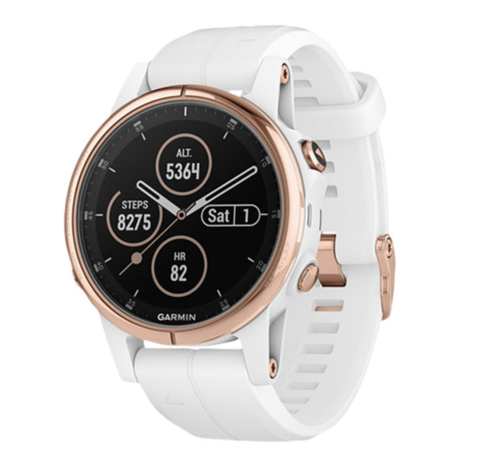 Garmin fenix 5S Plus Sapphire GPS Watch (Photo via Best Buy Canada)