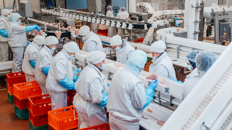 Factory workers at meat plant