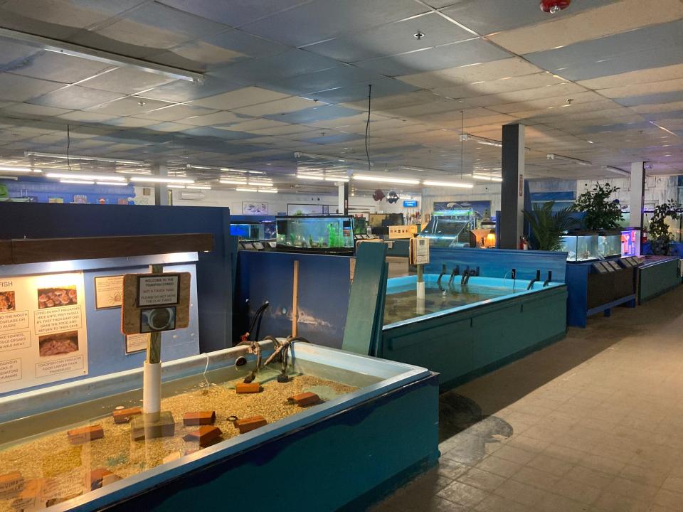 Biomes Marine Center has interactive touch tanks so visitors can get up close to different marine life.