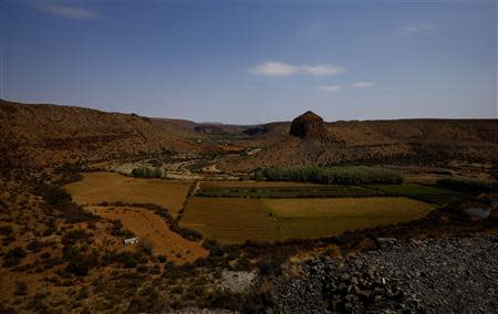 Irrigated farmland breaks up an arid landscape near the small town of Nieu-Bethesda in the Karoo October 10, 2013. REUTERS/Mike Hutchings