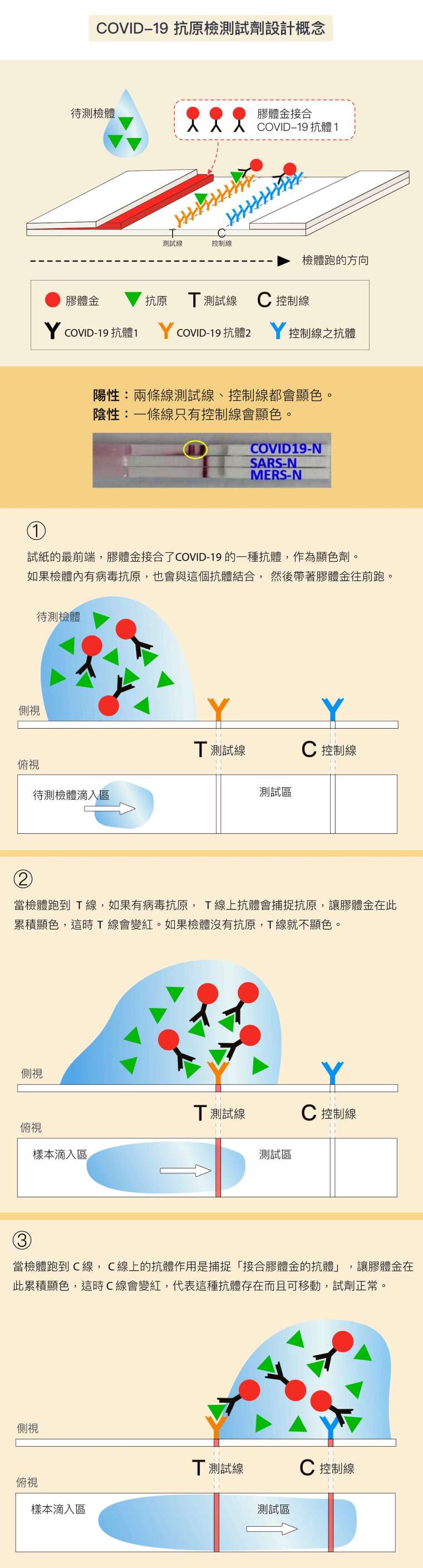 資料來源│吳漢忠 圖說設計│黃曉君、林洵安