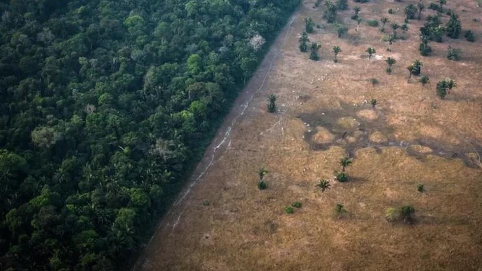 Área devastada na Amazônia
