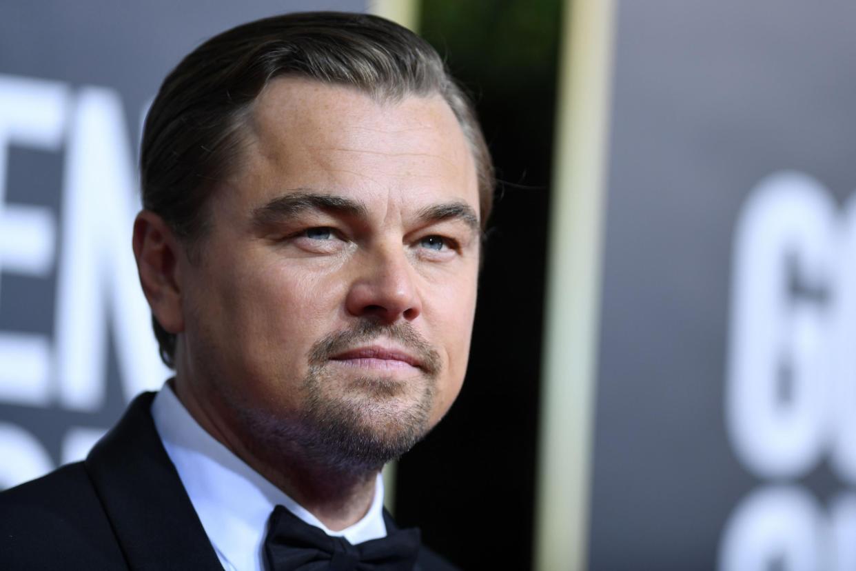 Leonardo DiCaprio reportedly sprang into action to save a man who had fallen off a Club Med yacht: AFP via Getty Images