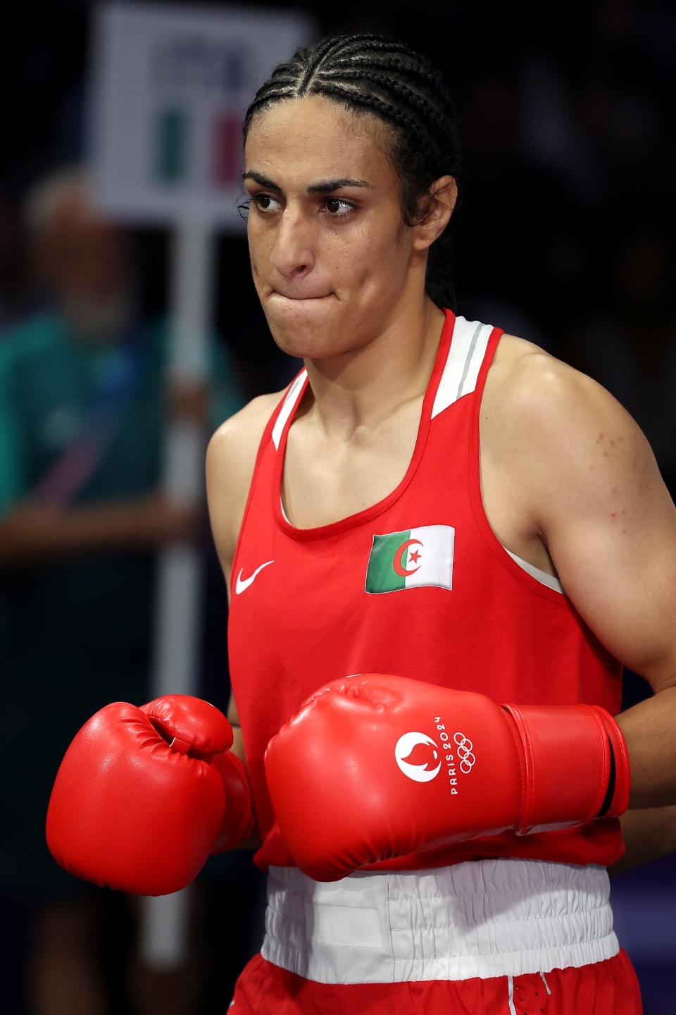 A NonTrans Female Algerian Boxer Is Being Attacked By AntiTrans