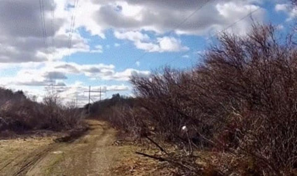 The 'high tees' behind Bill Russo's former Raynham home in 2013.