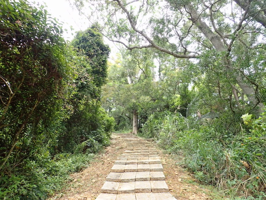 苗栗老崎古道（頭份後花園步道）