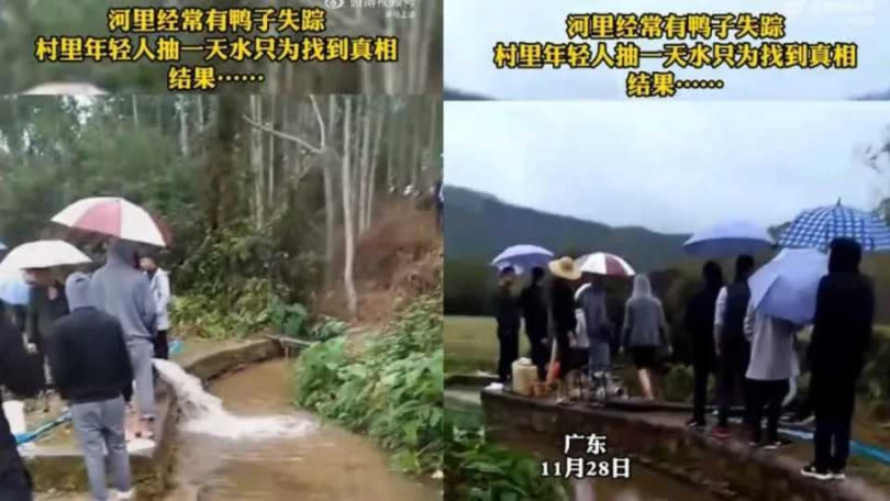 家中飼養的鴨子不斷鬧失蹤，村民決定抽光河水，找出潛藏在水中的水怪。（圖／翻攝自微博）