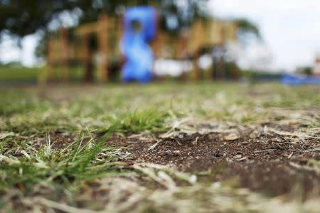 FILE PHOTO The playground at the West Calumet Complex lies abandoned as many kids are told to stay indoors or ride their bikes so as not be contaminated by lead in the soil in East Chicago, Indiana, U.S. September 16, 2016. REUTERS/Michelle Kanaar/File Photo