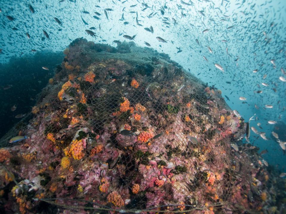 Fishing net on reef in the Gulf of Thailand