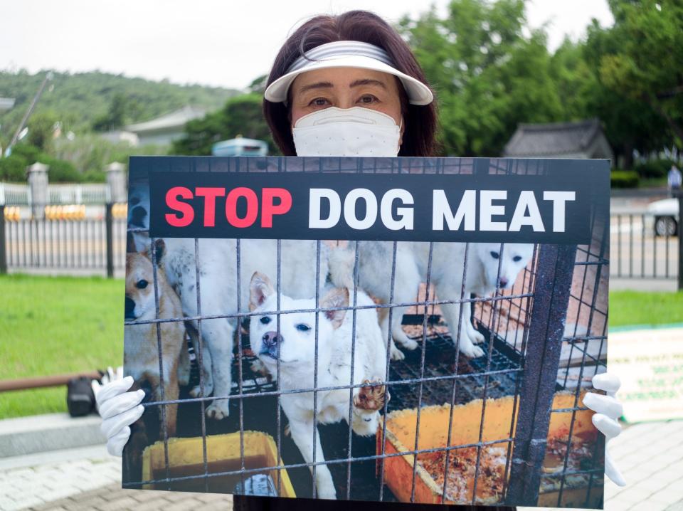 An activist holds a poster protesting the dog meat trade during a rally in South Korea.