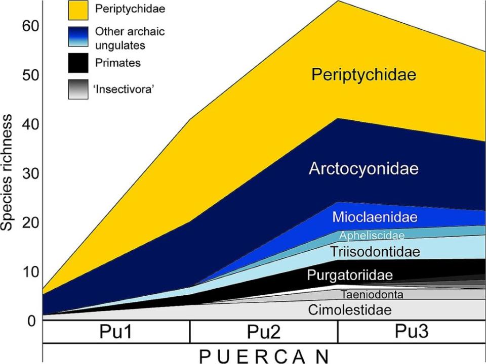 在北美洲古新世初期的普厄坎地質時代（NALMA），有一個名為普厄坎的階段，細分為三個小階段，大約涵蓋了第一百萬年。在這段時期中，研究顯示，Periptychidae家族的物種豐富度遠高於其他有胎盤的哺乳動物家族。（圖／《哺乳動物學演化》）