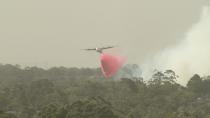 A plane releases fire retardant over forest during bushfires in South Turramurra