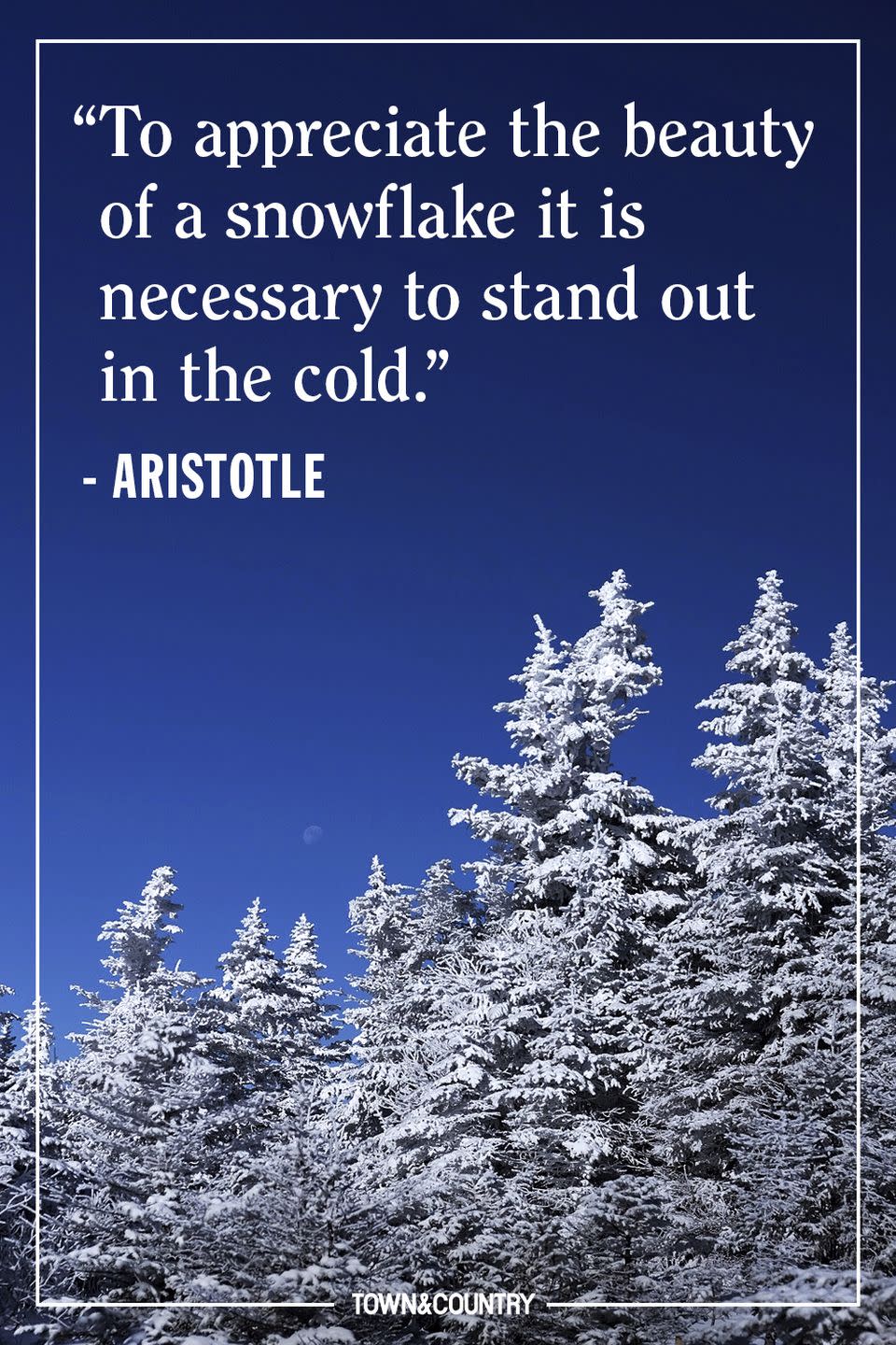 Quotes to Sum Up All Of Our Feelings About Winter