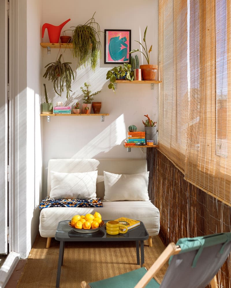 A sunroom with plants on wooden shelves, large windows, and a white couch.