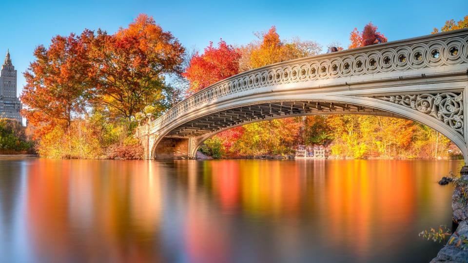 best fall picture of bridge in central park