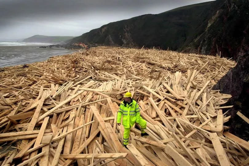 Clear-up after the 'Kodima' ran aground in Whitsand Bay, Cornwall. Coastguard Jon Jones is dwarfed by the timber on the beach. -Credit:Nick Gregory