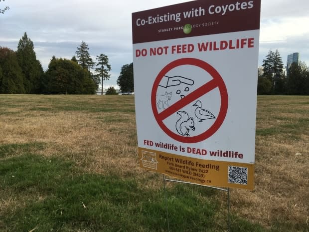 I Survived the Stanley Park Coyotes' Lunch Bag