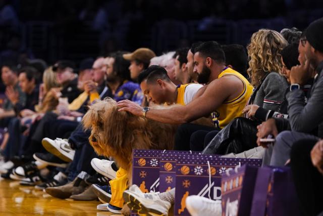 Why was there an 80 pound dog sitting courtside at Lakers game