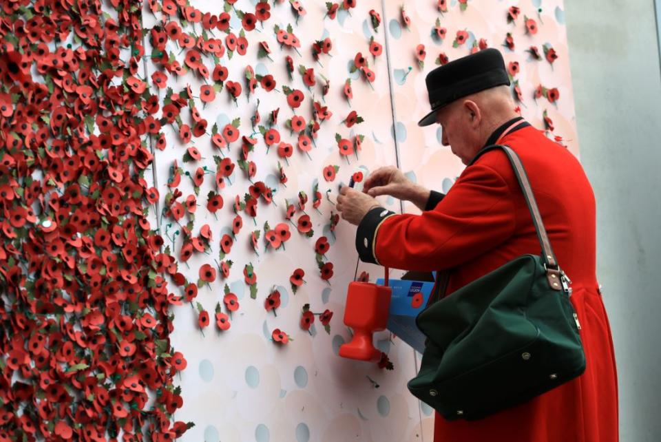 The traditional red poppy (PA)