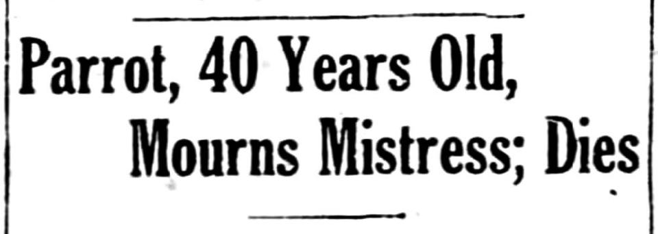 Headline from Dec., 1923.