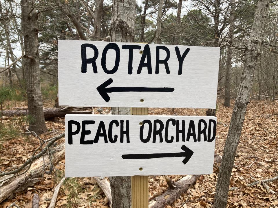 Which way would you go? A trail sign in the South Eastham Conservation Area.