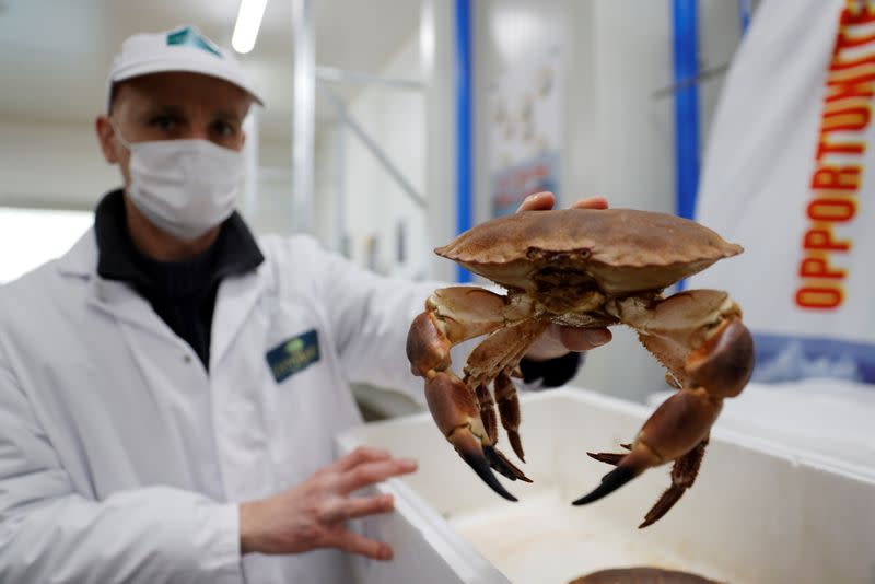 Arnaud Mille, jefe de abastecimiento de Demarne Freres, muestra un cangrejo muerto debido al plazo de entrega en su planta de procesamiento de pescado en el puerto de Boulogne-sur-Mer