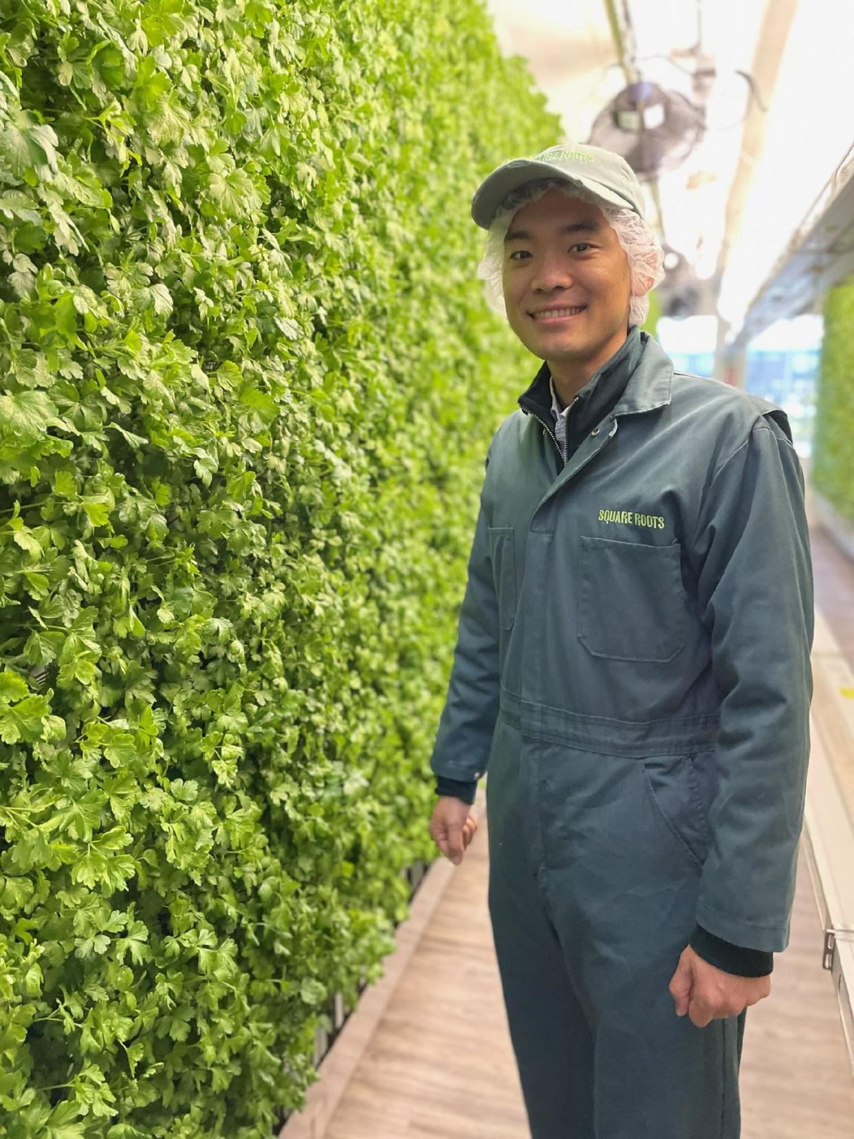 Hank Kim shows how herbs are grown vertically at the Square Roots hydroponic farm, which utilizes 20 shipping containers to create indoor growing spaces.