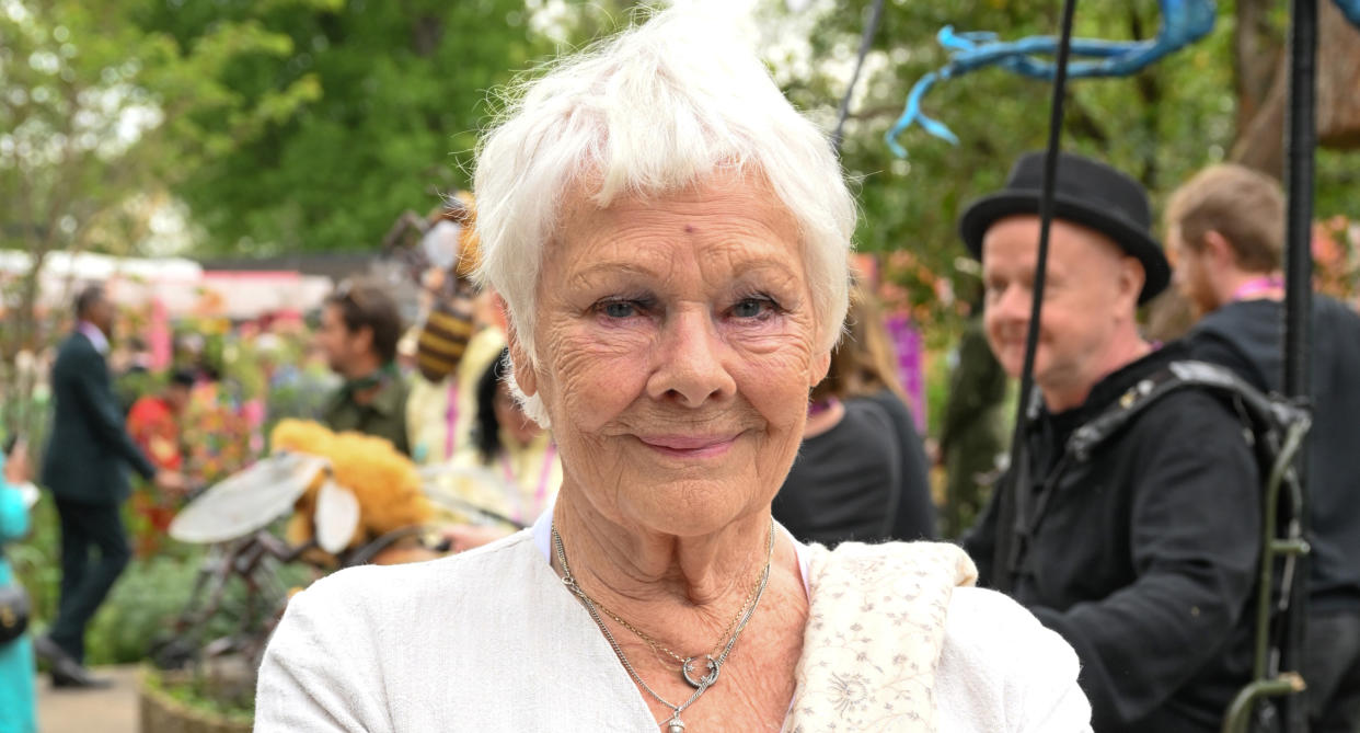 Judi Dench, who has macular disease, at the Chelsea Flower Show