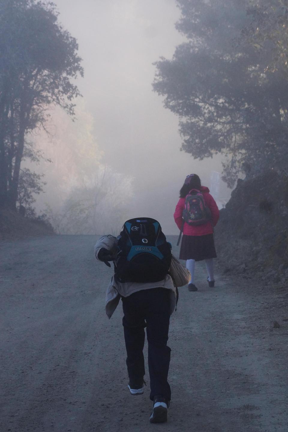 FOTOS: Las estampas que han dejado las heladas en México