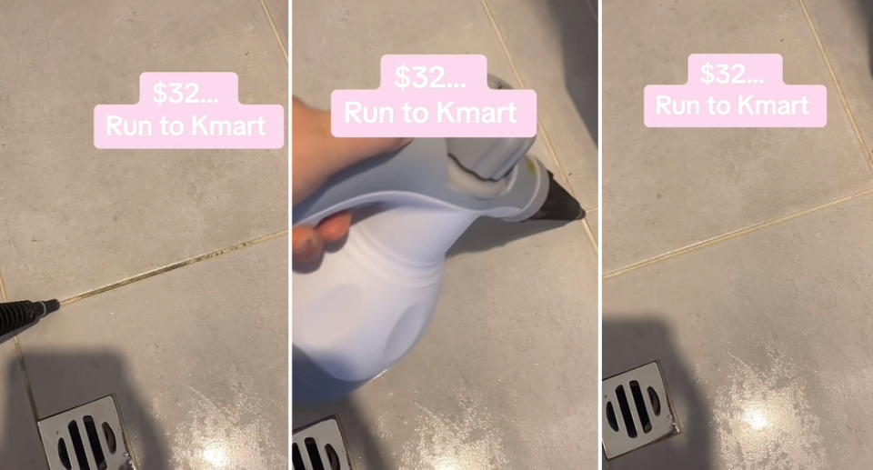 The $32 Kmart hand held steamer offers an effective solution to cleaning without harsh chemicals. Photo: TikTok/@pink369369