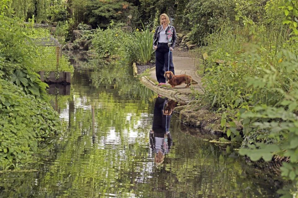 New River Walk is a 28-mile-long footpath (Daniel Lynch)