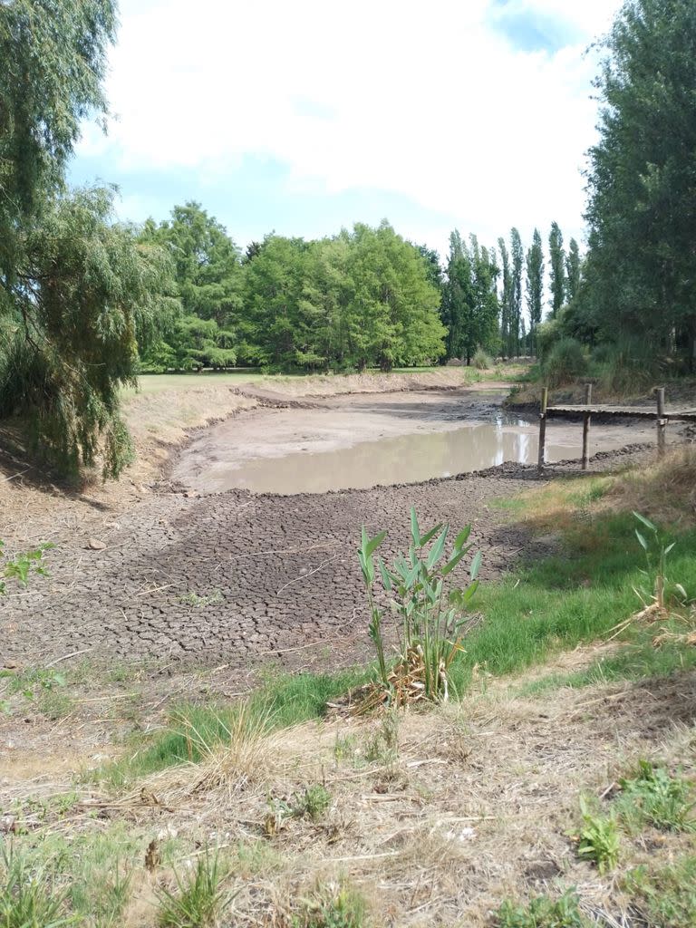 El descenso de la cota de los lagos es una problemática general en varios barrios cerrados