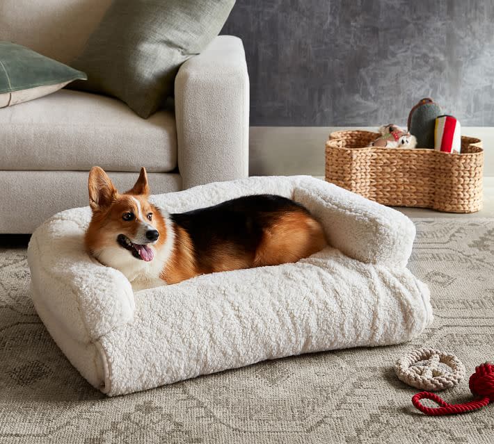 <p><a href="https://go.redirectingat.com?id=74968X1596630&url=https%3A%2F%2Fwww.potterybarn.com%2Fproducts%2F3-in-1-sherpa-faux-fur-pet-bed&sref=https%3A%2F%2Fwww.cosmopolitan.com%2Flifestyle%2Fg46586262%2Fluxury-dog-beds%2F" rel="nofollow noopener" target="_blank" data-ylk="slk:Shop Now;elm:context_link;itc:0;sec:content-canvas" class="link rapid-noclick-resp">Shop Now</a></p><p>Sherpa Medium 3-In-1 Pet Bed </p><p>potterybarn.com</p><p>$199.00</p>