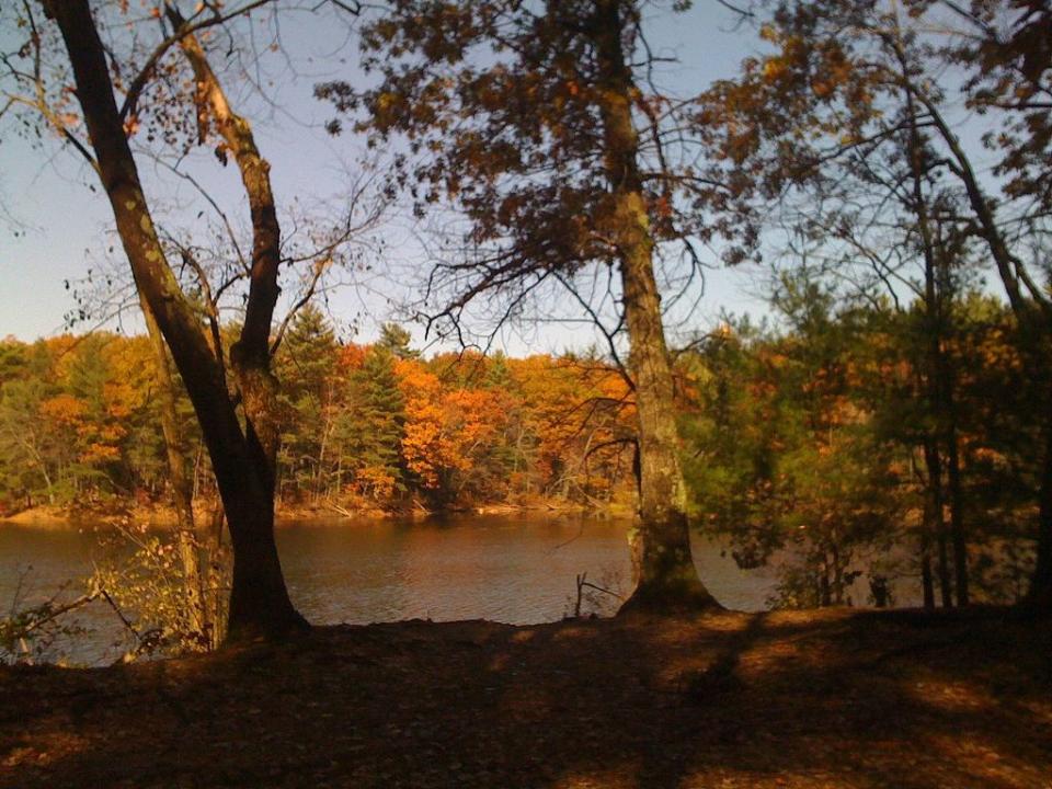 Harold Parker State Forest