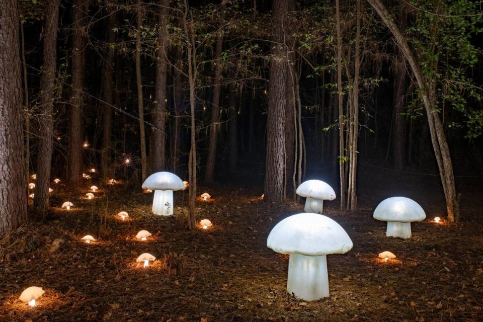 Enjoy the lights at the US National Whitewater Center as you race your way into the New Year. Pictured is artist Meredith Connelly’s display “Mushrooms” from 2020. Courtesy of US National Whitewater Center