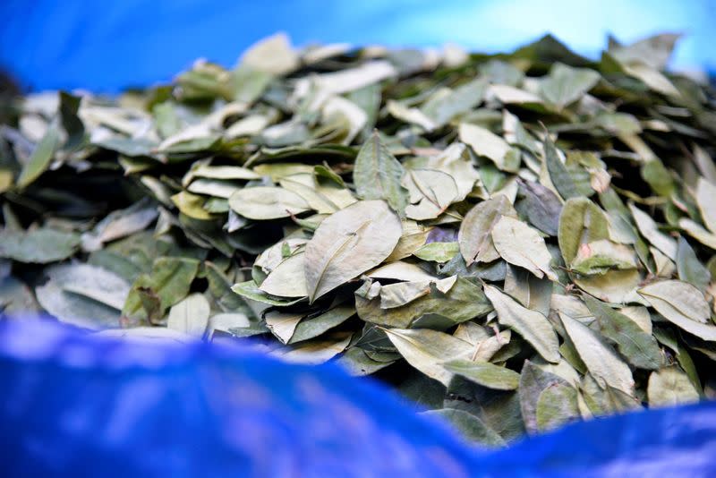 FILE PHOTO: Coca growers wait for customers during the reopening of the coca market of the Departmental Association of Coca Producers (ADEPCOCA), in La Paz