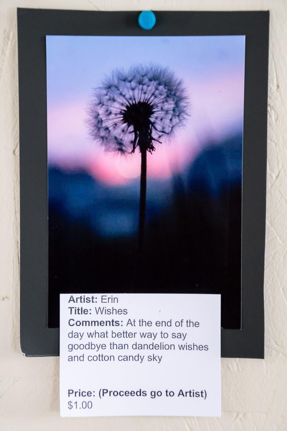 A photograph by the artist named Erin on display at the Guernsey County Board of Developmental Disabilities art show in Byesville. The artist commented on the photo "At the end of the day what better way to say goodbye than dandelion wishes and cotton candy sky." The piece sold on the evening of the art show.