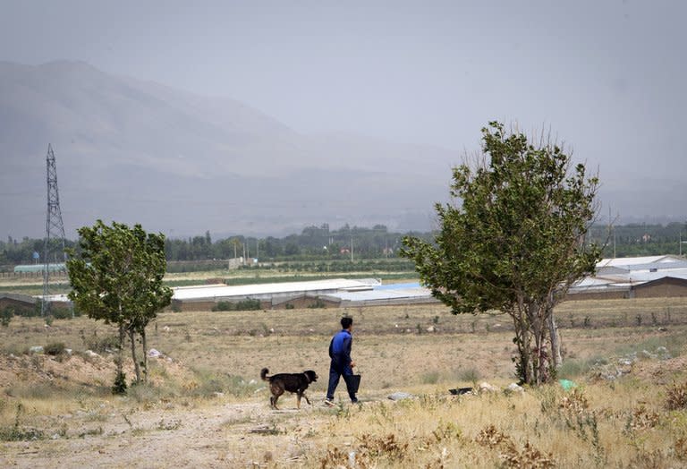 This file photo shows a man walking his dog on the outskirts of Hashtgerd, some 70 km west of the capital Tehran, on June 30, 2011. For decades, keeping dogs as pets was a rarity and thus tolerated in Iran, where the Islamic beliefs cherished by the vast majority of traditional Iranians consider dogs as "najis", or unclean