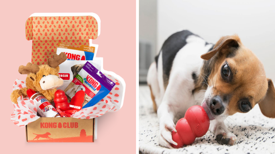 20 last-minute Mother's Day gifts no shipping: Kong Box.