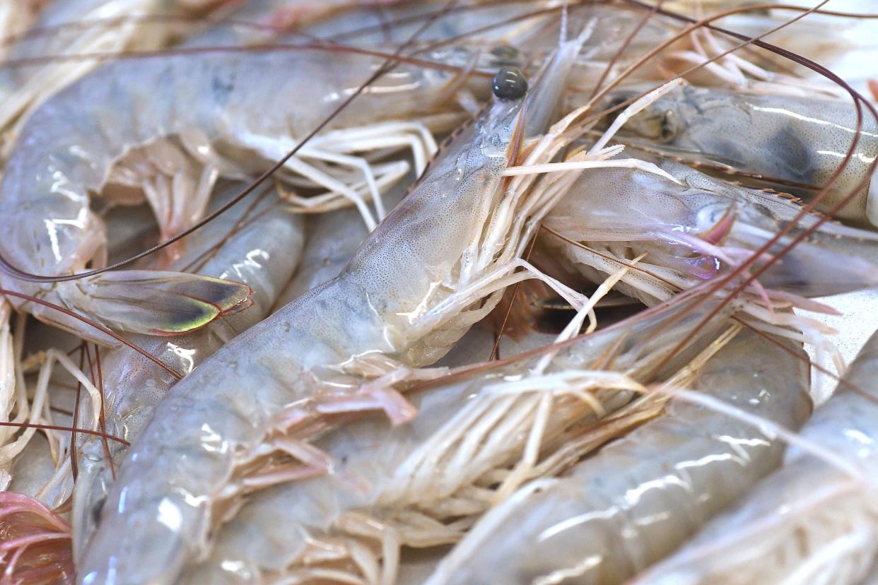 Fresh jumbo shrimp rest on ice Friday Dec. 15, 2023 at Eagle Island Fruit and Seafood fish market in Wilmington. Shrimp has historically been an important and popular fishery in North Carolina, but cheap imports are driving many local shrimpers off the water.