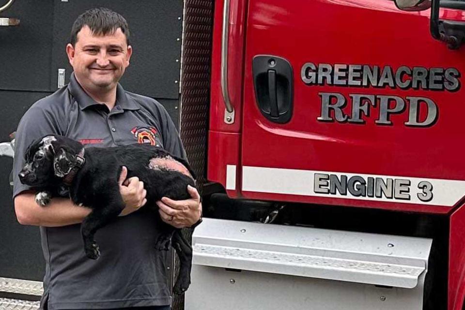 <p>Jenifer Alcorn, Executive Director South Coast Humane Society, www.mysouthcoasthumane.org</p> Smoky the puppy with his new firefighter owner