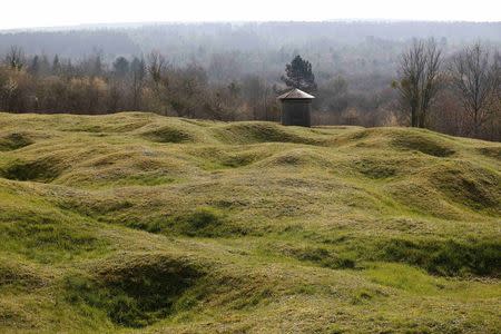 WWI shell craters are seen below the Douaumont cemetery with its Abri 320 (Rear C) a large four shelter French bunker system near Verdun, northeastern France, in this March 30, 2014 file picture. REUTERS/Charles Platiau/Files