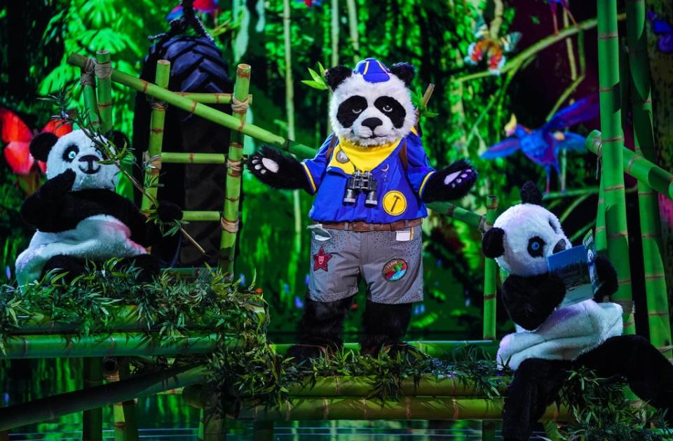 Panda has reached the final (ITV)