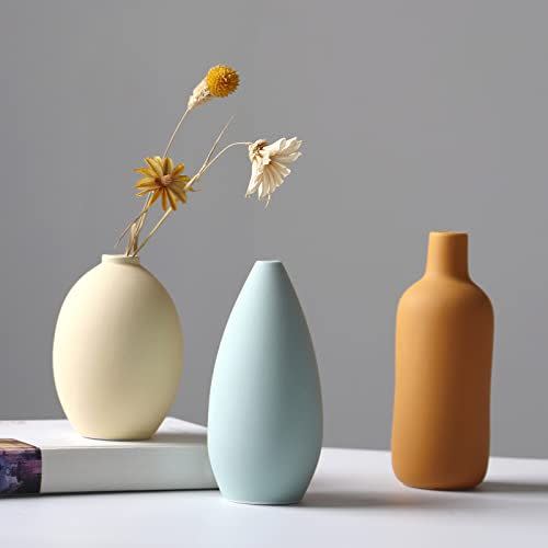 Ceramic Vase Set of 3