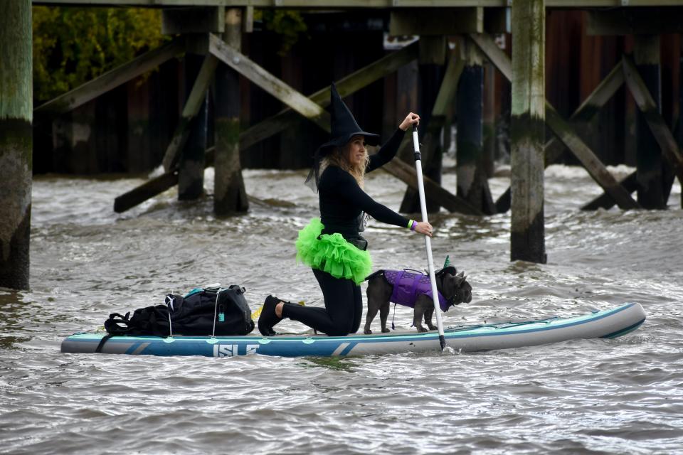 Ariel, un bulldog francés de 5 años de California, guía a Christine Watras mientras rema por el río Hudson en el cuarto Festival anual de SUP Witches en Horan's Landing en Sleepy Hollow.