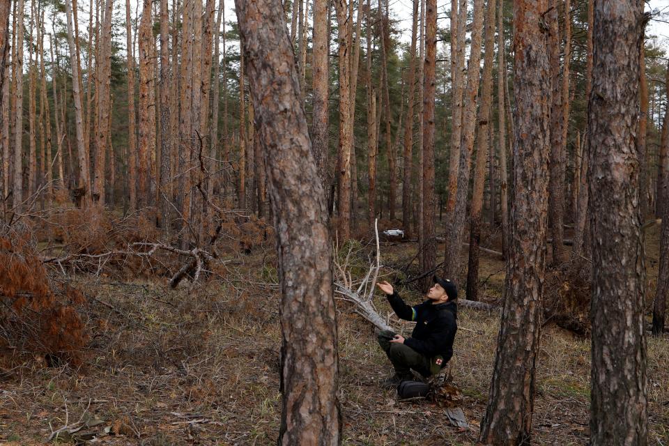 A man sits alone in a forest.