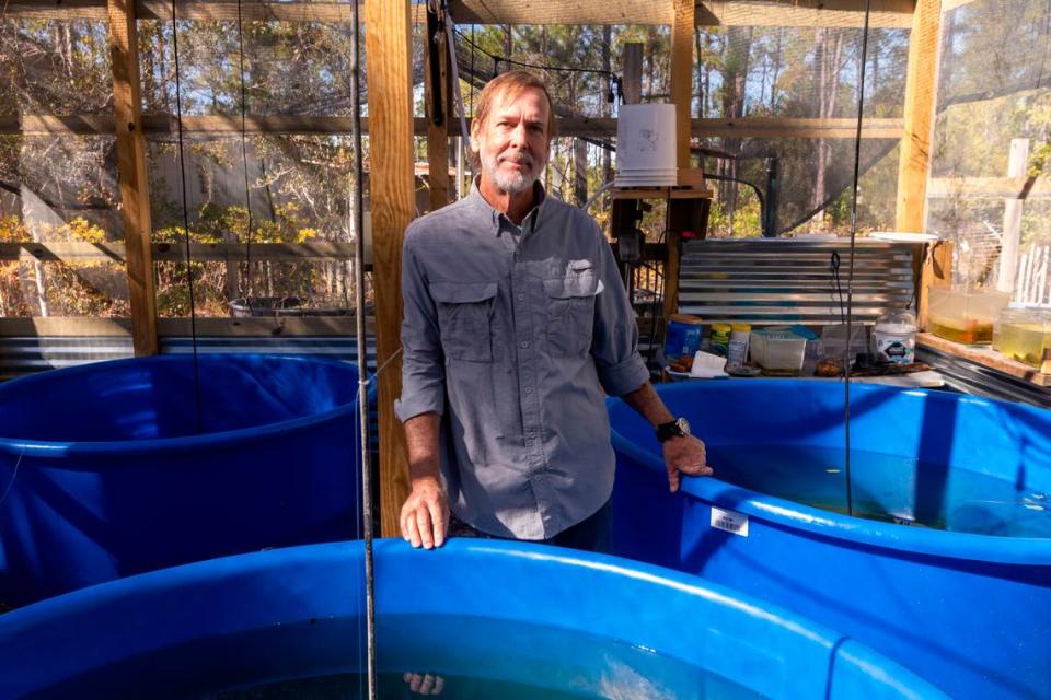Andy Wood, a biologist, took the Magnificent Ramshorn snails into captivity in the early 1990s. He has maintained a population of the snails, which have been believed to be gone from the wild for at least two decades, ever since.