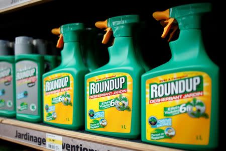 FILE PHOTO: Monsanto's Roundup weedkiller atomizers are displayed for sale at a garden shop at Bonneuil-Sur-Marne near Paris, France, June 16, 2015. To match Special Report WHO-IARC/GLYPHOSATE REUTERS/Charles Platiau/File Photo