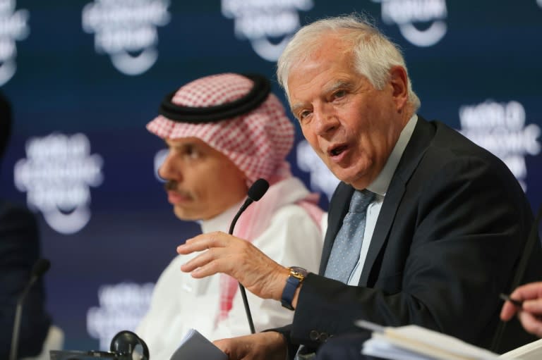 EU foreign policy chief Josep Borrell speaks next to Saudi Foreign Minister Prince Faisal bin Farhan at a World Economic Forum meeting in Riyadh on April 28, 2024 (Fayez Nureldine)